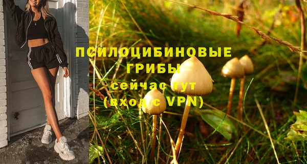 каннабис Абаза