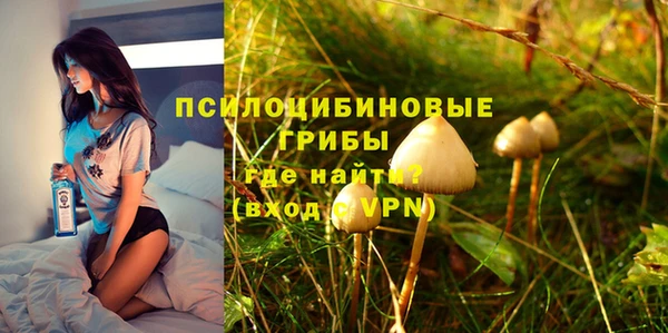 синтетический гашиш Алексин