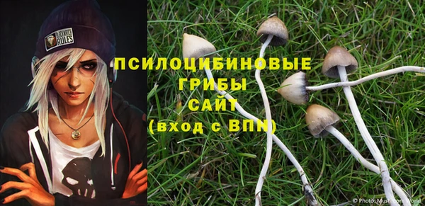 стафф Алексеевка