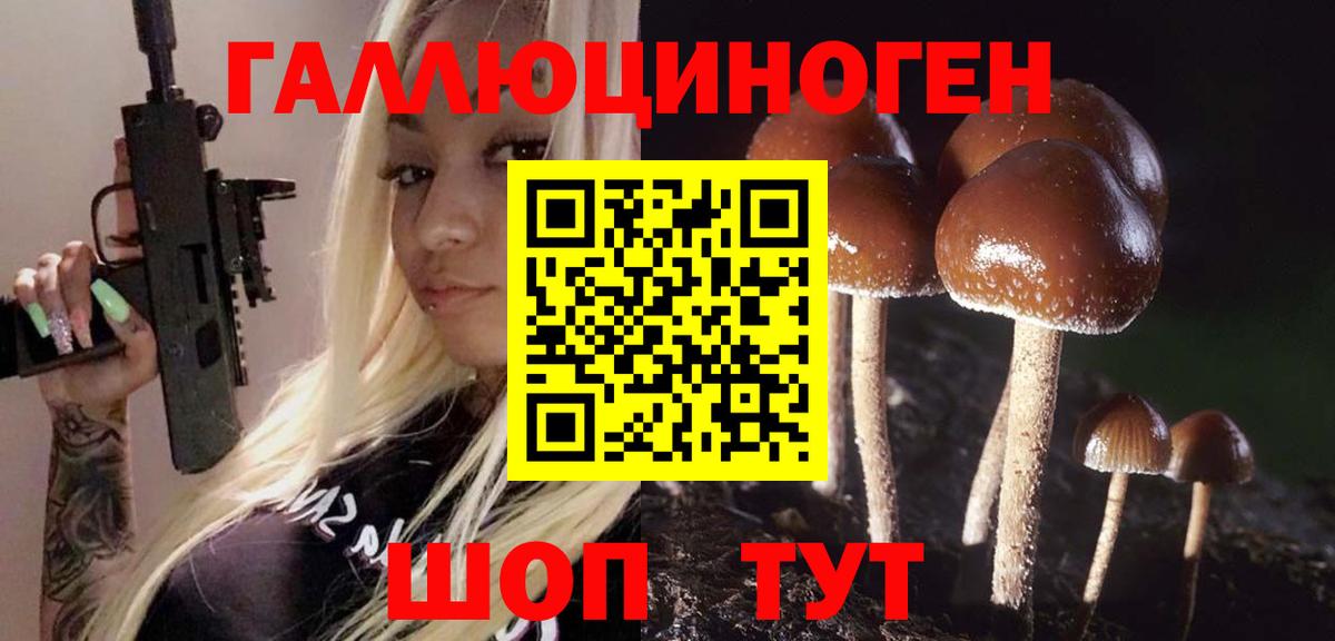 Галлюциногенные грибы мухоморы  Псилоцибиновые грибы мухоморы  Вход с VPN  как найти наркотики  Котовск 